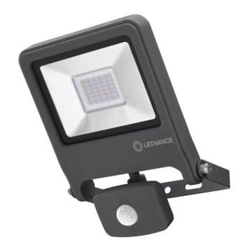 Ledvance - LED Strålkastare med sensor ENDURA LED/30W/230V IP44