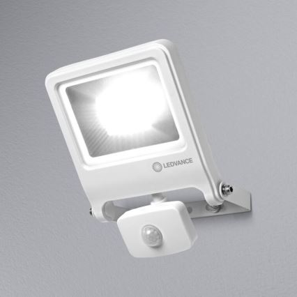 Ledvance - LED Strålkastare med sensor ENDURA LED/30W/230V IP44