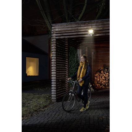 Ledvance - LED Strålkastare med sensor ENDURA LED/50W/230V IP44