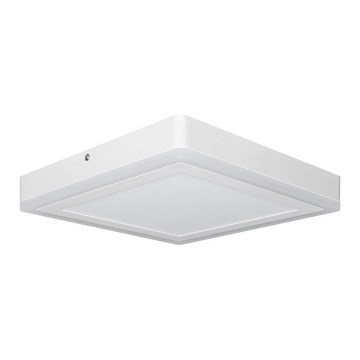 Ledvance - LED Takbelysning fyrkantig LED/18W/230V