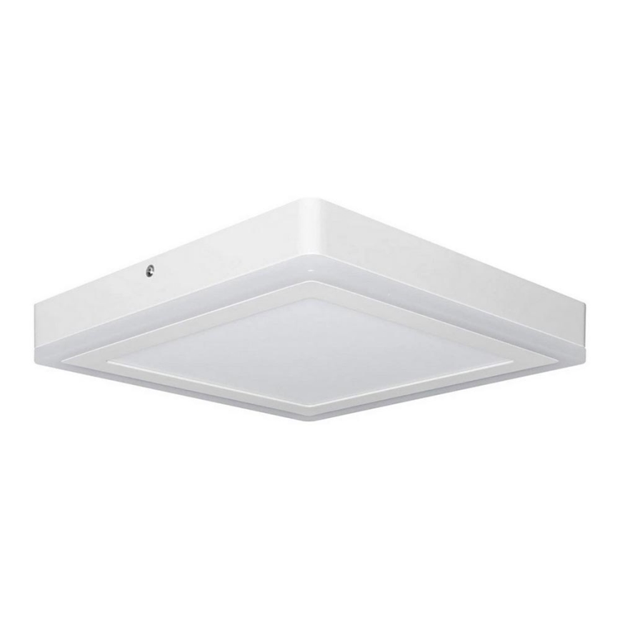 Ledvance - LED Takbelysning fyrkantig LED/18W/230V