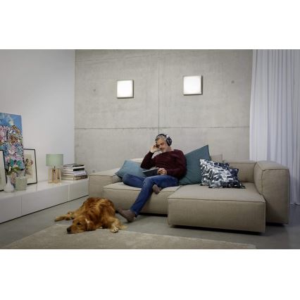 Ledvance - LED Takbelysning LUNIVE LED/14W/230V