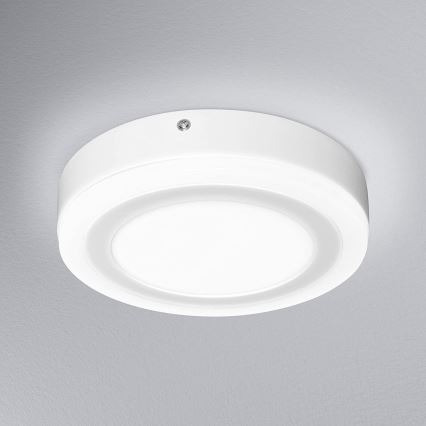 Ledvance - LED Takbelysning ROUND LED/15W/230V d. 20 cm
