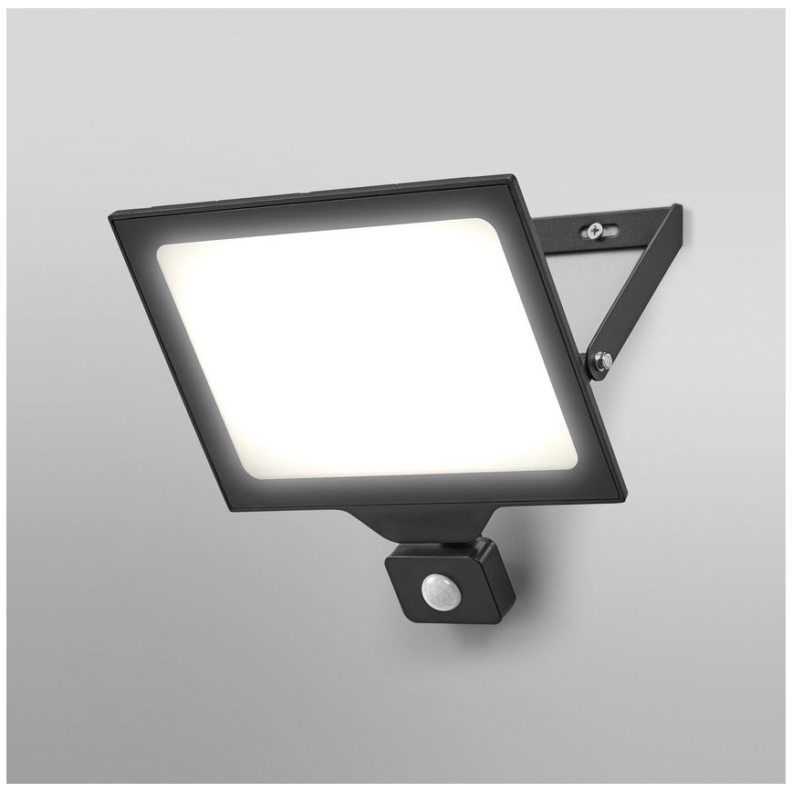 Ledvance - LED Utomhus Väggreflektor med Sensor FLOODLIGHT ESSENTIAL LED/100W/230V IP44