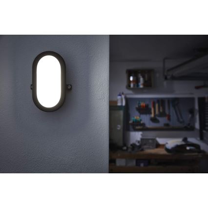 Ledvance - LED Utomhus Väggbelysning BULKHEAD LED/11W/230V IP54 svart