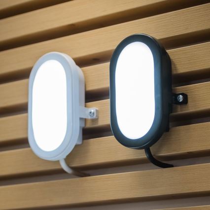Ledvance - LED Utomhus Väggbelysning BULKHEAD LED/11W/230V IP54 svart