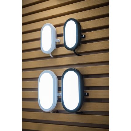 Ledvance - LED Utomhus Väggbelysning BULKHEAD LED/11W/230V IP54 svart