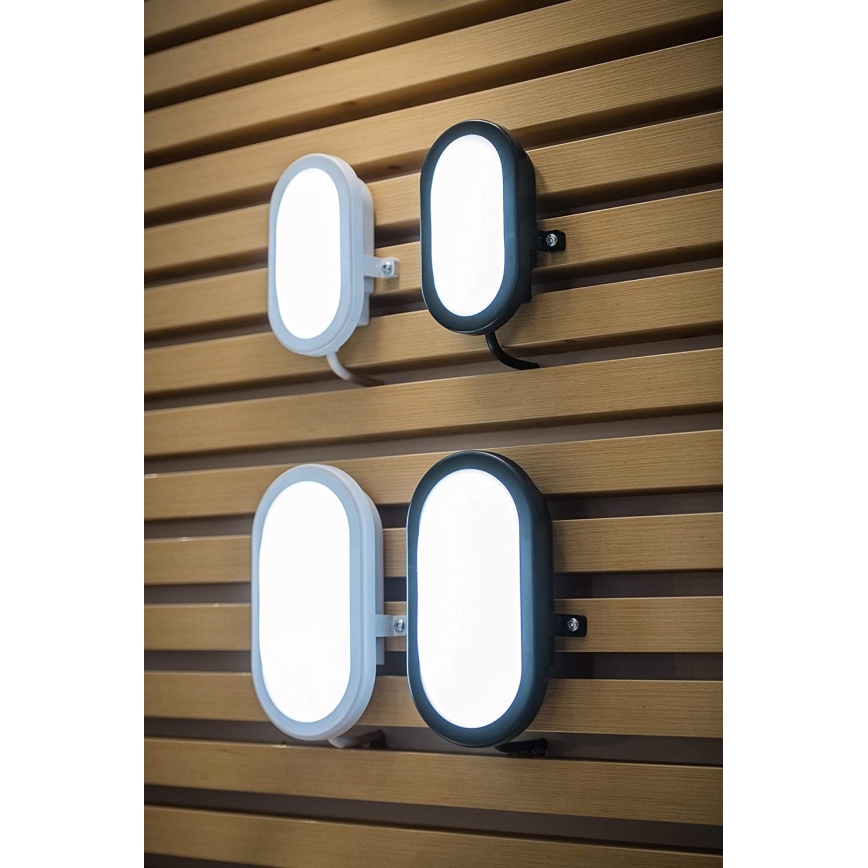 Ledvance - LED Utomhus Väggbelysning BULKHEAD LED/11W/230V IP54 svart
