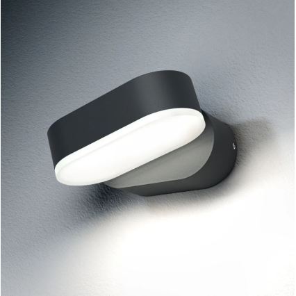 Ledvance - LED Utomhus Väggbelysning ENDURA LED/8W/230V IP44
