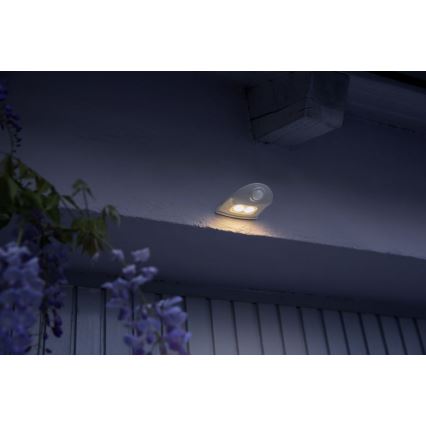 Ledvance - LED Utomhus vägglampa med sensor DOORLED LED/1W/3xAA IP54