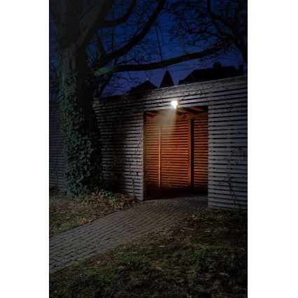 Ledvance - LED Utomhus väggStrålkastare med sensor  FLOOD LED/27W/230V IP55