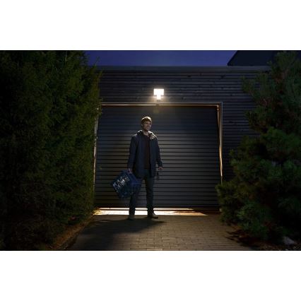 Ledvance - LED Utomhus väggStrålkastare med sensor  FLOOD LED/27W/230V IP55