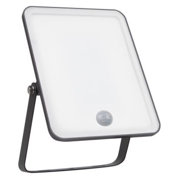 Ledvance - LED Utomhusstrålkastare med sensor FLOODLIGHT LED/30W/230V 6500K IP65
