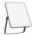 Ledvance - LED Väggstrålkastare för utomhusbruk FLOODLIGHT ESSENTIAL LED/30W/230V 4000K IP65