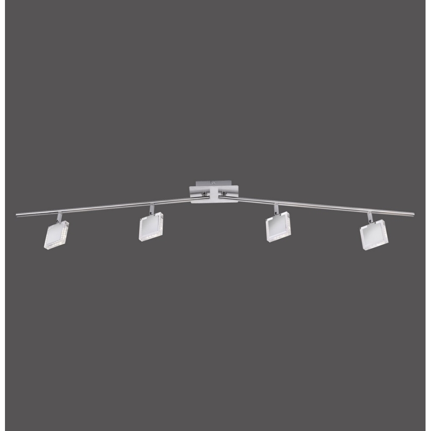 Leuchten Direkt 11084-55 - LED Spotlight TONY 4xLED/4W/230V
