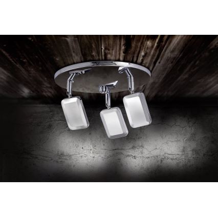 Leuchten Direkt 11243-17 - LED spotlight WELLA 3xLED/4,2W/230V