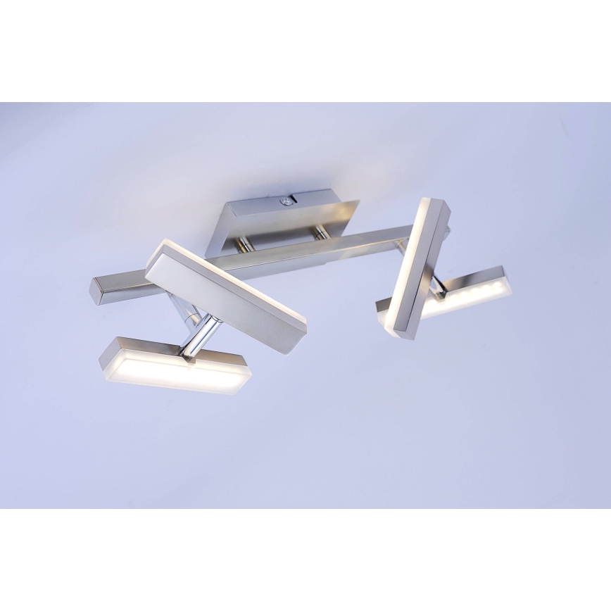 Leuchten Direkt 11277-55 - LED spotlight  RICO 4xLED/2W/230V