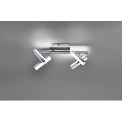 Leuchten Direkt 11277-55 - LED spotlight  RICO 4xLED/2W/230V