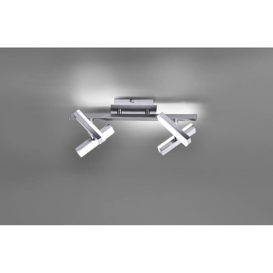 Leuchten Direkt 11277-55 - LED spotlight  RICO 4xLED/2W/230V