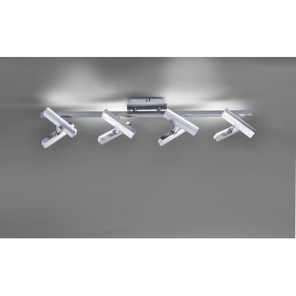 Leuchten Direkt 11278-55 - LED spotlight  RICO 8xLED/2W/230V
