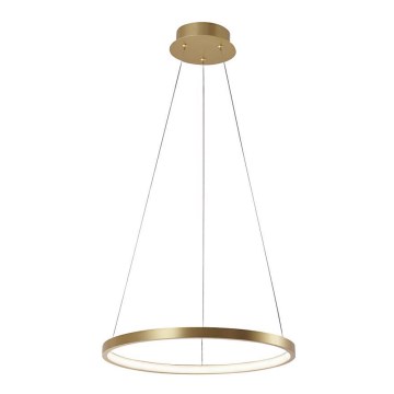 Leuchten Direkt 11522-12 - LED Ljuskrona med snöre CIRCLE LED/19W/230V
