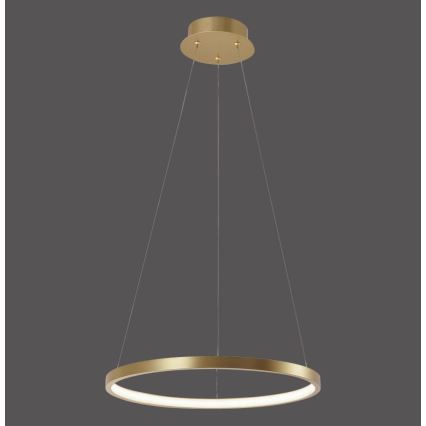 Leuchten Direkt 11522-12 - LED Ljuskrona med snöre CIRCLE LED/19W/230V