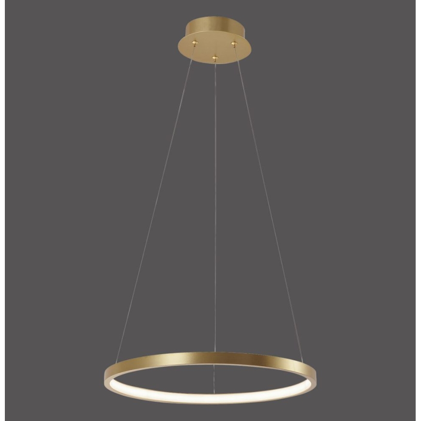 Leuchten Direkt 11522-12 - LED Ljuskrona med snöre CIRCLE LED/19W/230V
