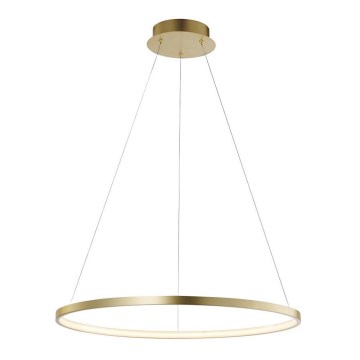 Leuchten Direkt 11524-12 - LED Ljuskrona med snöre CIRCLE LED/28,5W/230V
