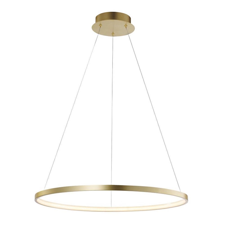 Leuchten Direkt 11524-12 - LED Ljuskrona med snöre CIRCLE LED/28,5W/230V