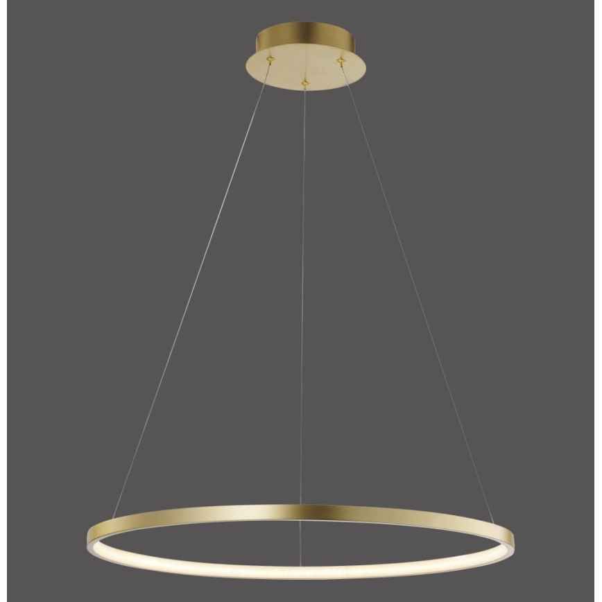 Leuchten Direkt 11524-12 - LED Ljuskrona med snöre CIRCLE LED/28,5W/230V