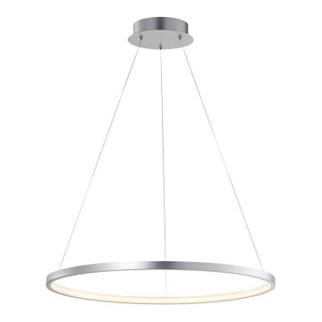 Leuchten Direkt 11524-21 - LED Ljuskrona med snöre CIRCLE LED/28,5W/230V