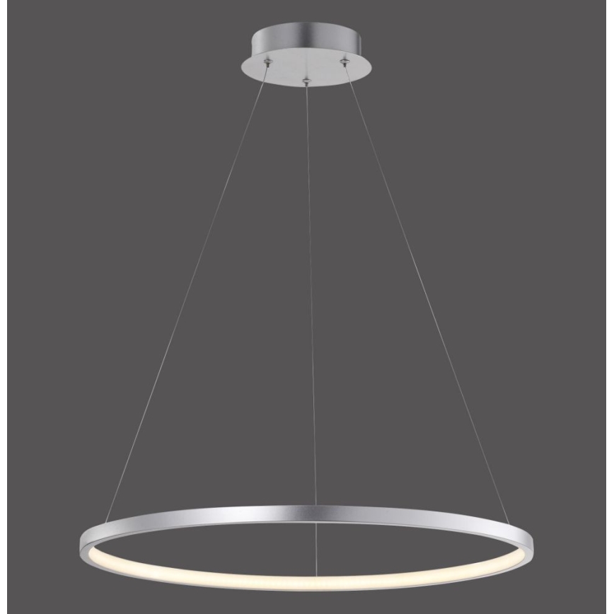 Leuchten Direkt 11524-21 - LED Ljuskrona med snöre CIRCLE LED/28,5W/230V