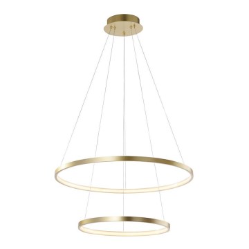 Leuchten Direkt 11525-12 - LED Ljuskrona med snöre CIRCLE 1xLED/18,5W/230V + LED/23,5W