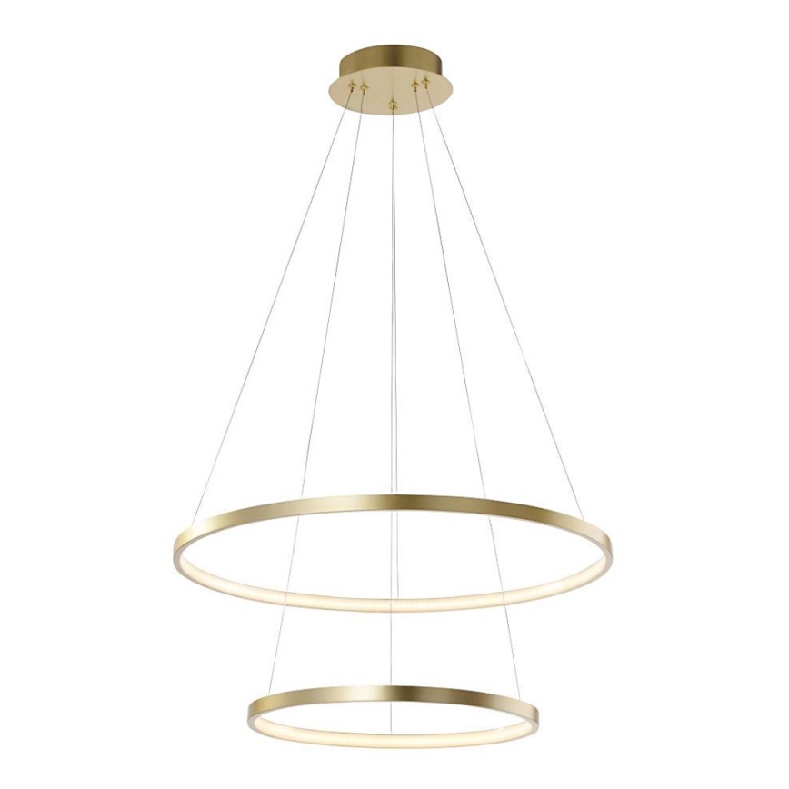 Leuchten Direkt 11525-12 - LED Ljuskrona med snöre CIRCLE 1xLED/18,5W/230V + LED/23,5W