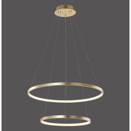 Leuchten Direkt 11525-12 - LED Ljuskrona med snöre CIRCLE 1xLED/18,5W/230V + LED/23,5W