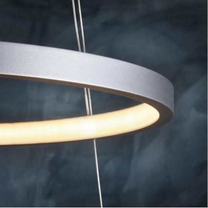 Leuchten Direkt 11525-21 - LED Ljuskrona med snöre CIRCLE 1xLED/15W/230V + LED/25W