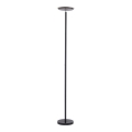 Leuchten Direkt 11729-18 - LED Dimbar Golvlampa HANS LED/22W/230V