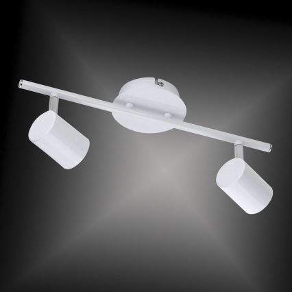 Leuchten Direkt 11942-16 - LED spotlight  TARIK 2xGU10/5W/230V vit 