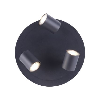 Leuchten Direkt 11943-13 - LED spotlight  TARIK 3xGU10/5W/230V antracit 