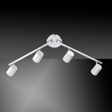 Leuchten Direkt 11944-16 - LED spotlight  TARIK 4xGU10/5W/230V vit 