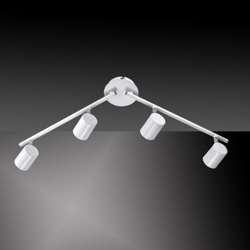 Leuchten Direkt 11944-16 - LED spotlight  TARIK 4xGU10/5W/230V vit 