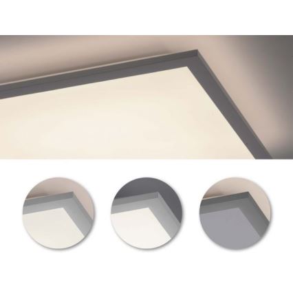 Leuchten Direkt 12204-16 - LED fastsatt panel  FLAT LED/24W/230V
