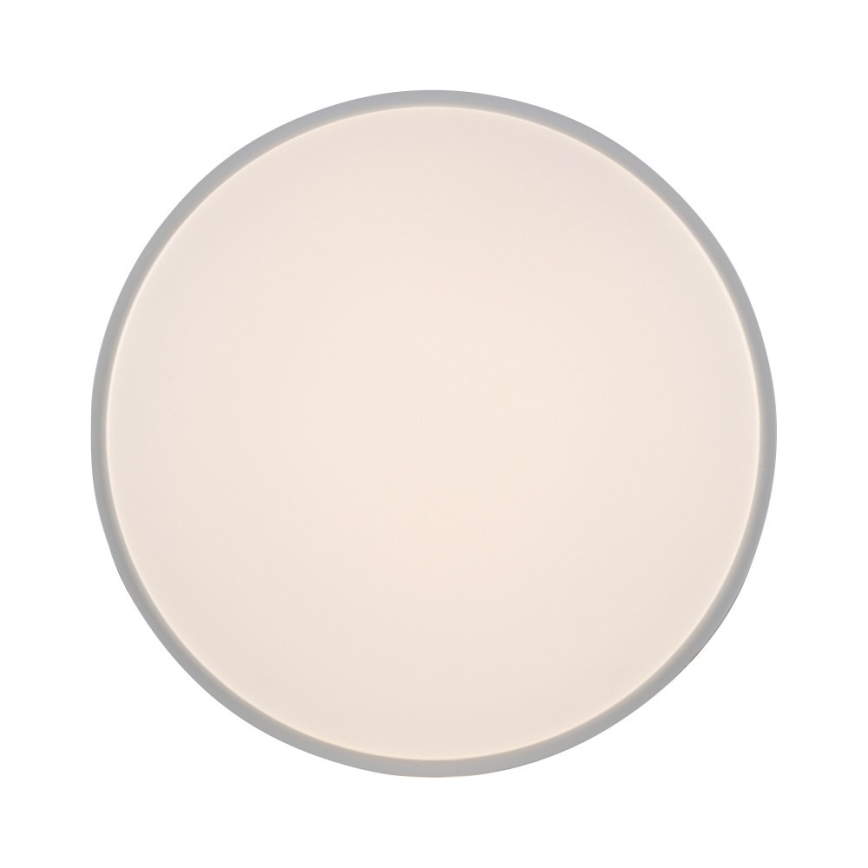 Leuchten Direkt 14209-16 - LED ljusreglerad taklampa  COLIN LED/32,4W/230V