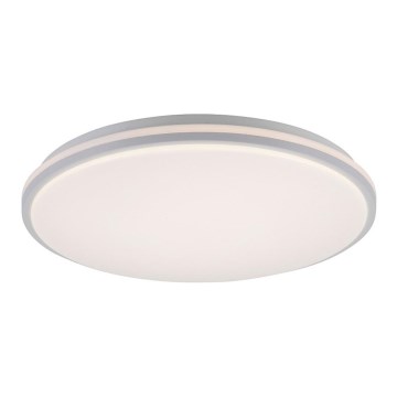 Leuchten Direkt 14209-16 - LED ljusreglerad taklampa  COLIN LED/32,4W/230V
