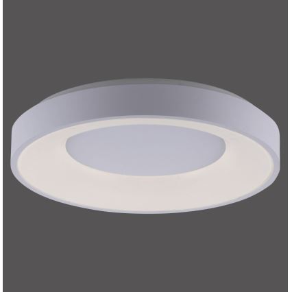 Leuchten Direkt 14326-16 - LED Dimbar belysning ANIKA LED/30W/230V + Fjärrstyrd