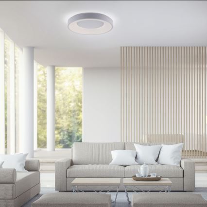 Leuchten Direkt 14326-16 - LED Dimbar belysning ANIKA LED/30W/230V + Fjärrstyrd