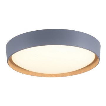 Leuchten Direkt 14347-15 - LED taklampa EMILIA LED/28,8W/230V grå
