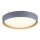 Leuchten Direkt 14347-15 - LED taklampa EMILIA LED/28,8W/230V grå