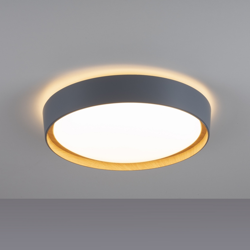 Leuchten Direkt 14347-15 - LED taklampa EMILIA LED/28,8W/230V grå