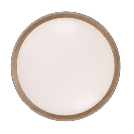 Leuchten Direkt 14347-15 - LED taklampa EMILIA LED/28,8W/230V grå